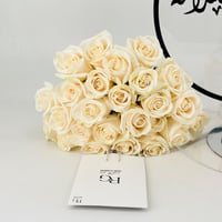 13221 - صورة 4