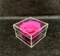 2215-51 - Image 1