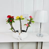 النباتات رقم.16426 - صورة 1