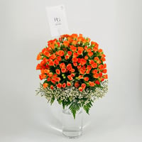 9916-801 - صورة 2