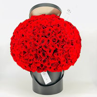 1690-657 - صورة 1