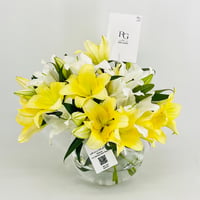 12816 - Image 5