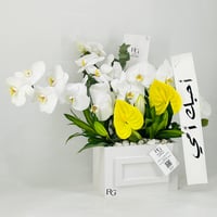 11942-648 - صورة 3