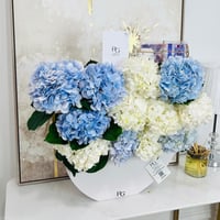 15951 - صورة 2