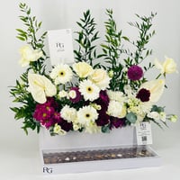 12423 - صورة 5