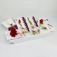 11066 - صورة 3