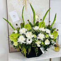 16068 - Image 2