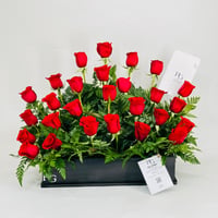 10033-209 - صورة 1
