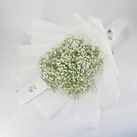 5034 - صورة 3