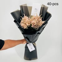 9244 - صورة 4