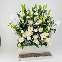 12588 - Image 2