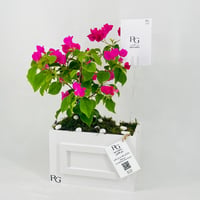 12463 - Image 3