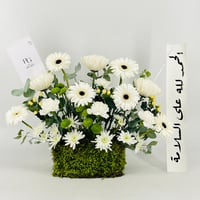 13332 - صورة 1