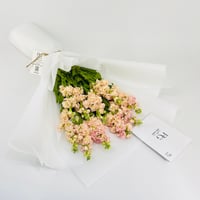 14239 - Image 2