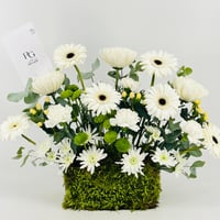 13331 - صورة 2