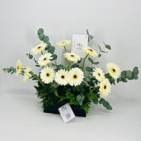 8930-159 - صورة 3
