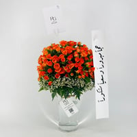 12664 - Image 1