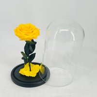 11235 - صورة 2