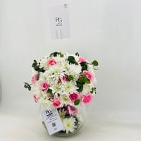 329 - صورة 3