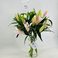 4690-34 - صورة 2