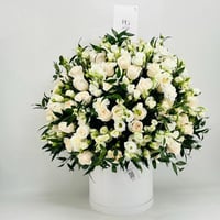 8859N - Image 2