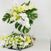 13851 - Image 2