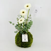 13678 - Image 4