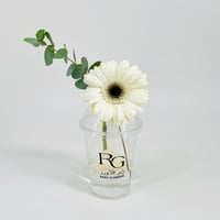 10799 - صورة 1