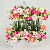 13430 - Image 3