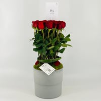 13340 - صورة 1