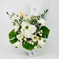 9167N - صورة 3