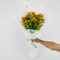 14254 - Image 1