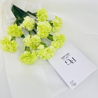 10961 - صورة 4