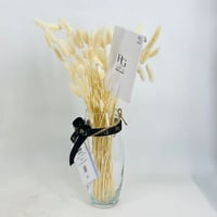 5694 - صورة 2