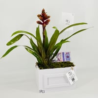 12840 - Image 2