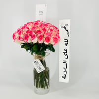 13271 - صورة 5