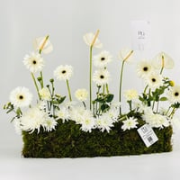 12952 - صورة 3