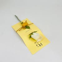 9968 - صورة 2