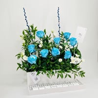 9801-260 - صورة 2