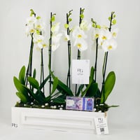 12468 - Image 4