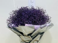 1434 - Image 2