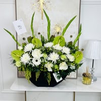 16068 - Image 1