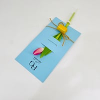 9954 - Image 3