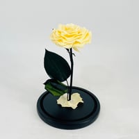 11242 - Image 3