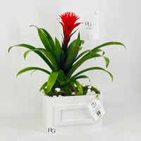 12433 - Image 3