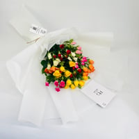 6629 - صورة 3