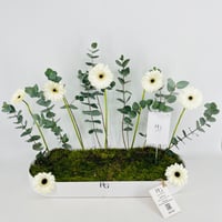 15441 - صورة 3