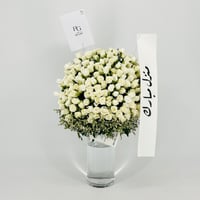 13436 - صورة 2