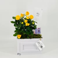 12854 - Image 3