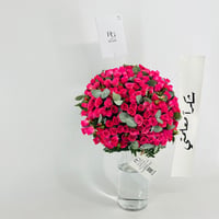13959 - صورة 3